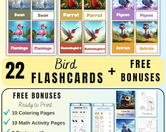 22 vogel FLASHKAARTEN, Montessori FlashCards, Pre-School Flashcards, afdrukbare Flash Cards voor kinderen onderwijs, Kid Busy Book Printables