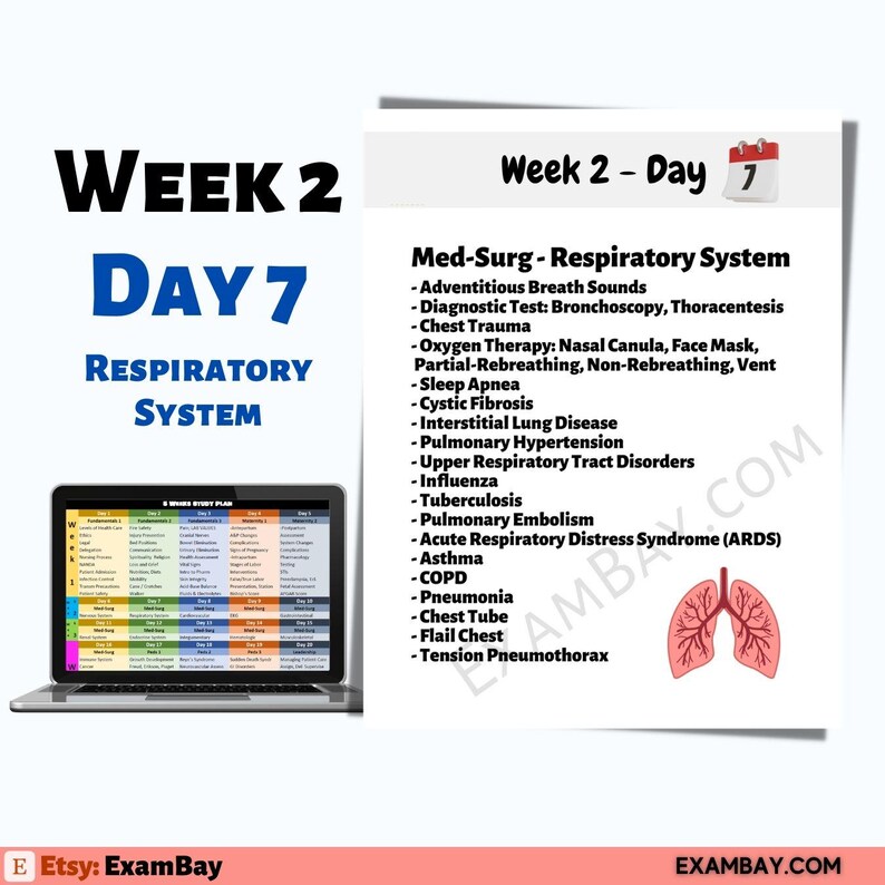 Next Gen NCLEX - 5 Weeks Study Plan | Pass Your NCLEX 2026 - Etsy
