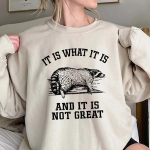 It Is What It Is And It Is Not Great Sweatshirt, Raccoon Sweatshirt, Mental Health Sweatshirt, Funny Sweatshirt Women, Trending Unisex Tee