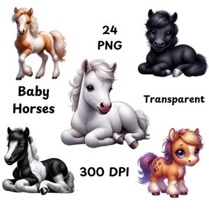 Bundle de cliparts bébé cheval, 24 adorables bébés chevaux, bébés animaux, clipart Western, animaux de la ferme PNG, téléchargement numérique aquarelle chevaux mignons