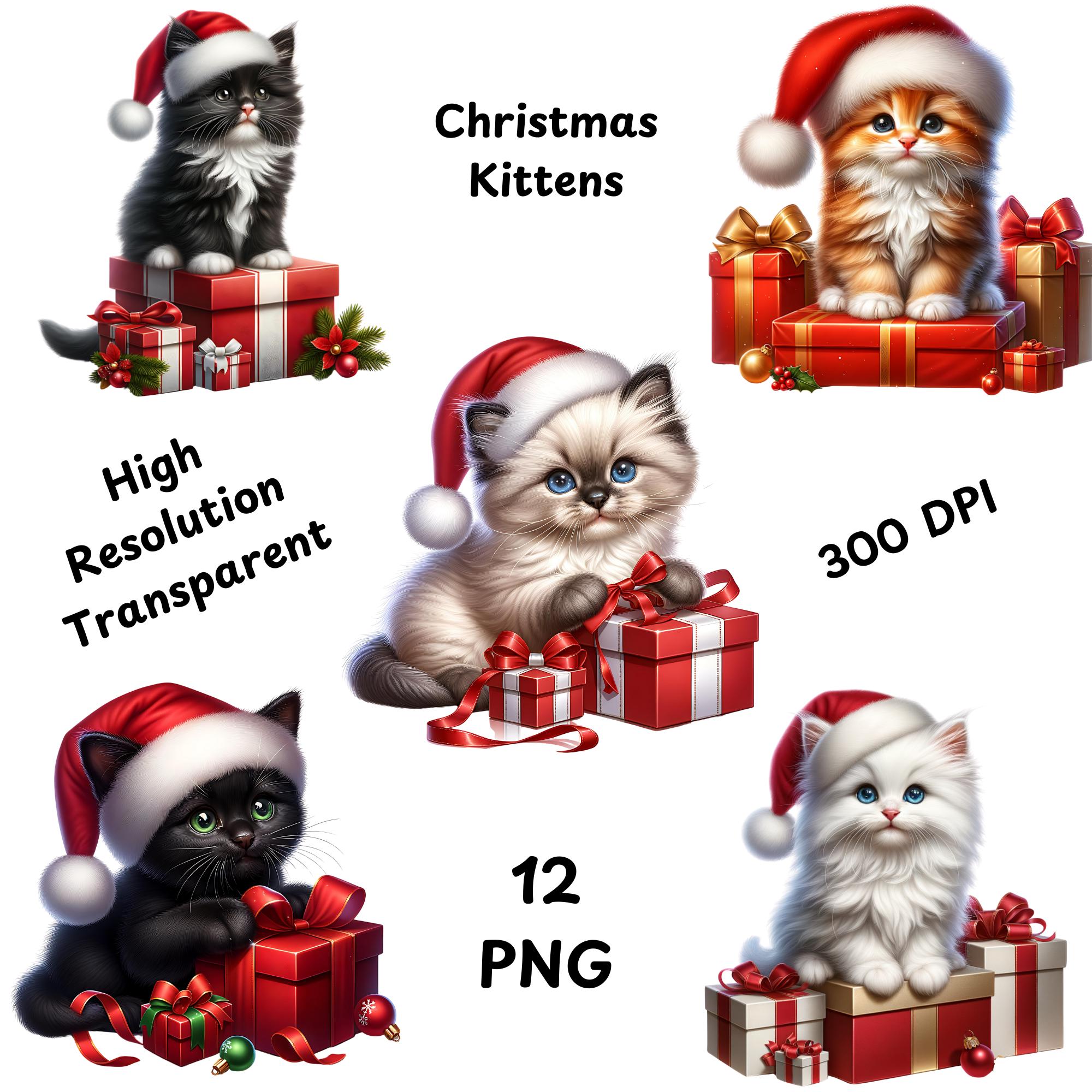 Christmas Kitten Clipart Bundle, 12 PNG Watercolor Christmas Kitten ...