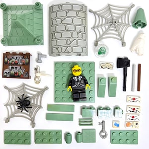 May include: Assorted Lego pieces, including a minifigure with glasses, a spider web, a brick wall, and a shelf with potion bottles. Other pieces include an axe, a key, and several green building blocks. The image is a top-down view.