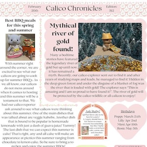 Calico critter newspaper cover C
