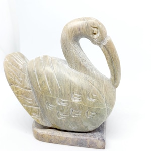 Swan