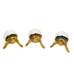 Schlüpfling der Meeresschildkröte