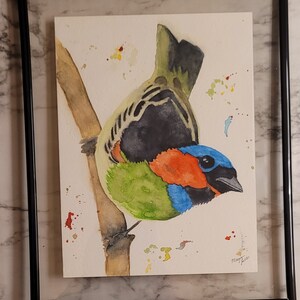 Colorful Tanager bird Original Watercolor
