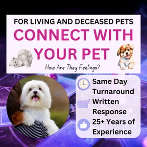 PET Psychic Reading-Same Day; Gekanalte Nachricht von Ihrem Haustier; Hund Psychic Reading; Katze lesend; Nachricht von Ihrem Haustier an den trauernden Besitzer