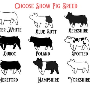 May include: Illustration of nine different pig breeds, including Chester White, Blue Butt, Berkshire, Duroc, Poland, Spotted, Hereford, Hampshire, and Yorkshire.