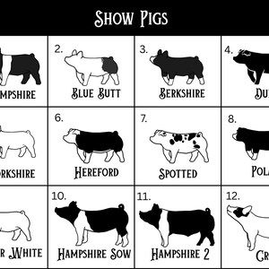 May include: A black and white illustration of 12 different pig breeds. Each breed is labeled with its name and a number. The breeds are: Hampshire, Blue Butt, Berkshire, Duroc, Yorkshire, Hereford, Spotted, Poland, Chester White, Hampshire Sow, Hampshire 2, and Gross.