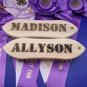 Custom Livestock Brush, Personalize with Name & Choice of Font, Laser Engraved Wood, Tampico Medium Bristles, Horses, Cattle, Pigs, Sheep