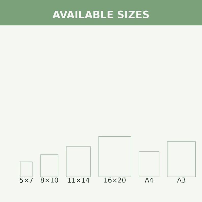 May include: A white chart titled AVAILABLE SIZES in a green header, displaying six rectangular outlines representing print dimensions: 5x7, 8x10, 11x14, 16x20 inches, plus A4 and A3 sizes, arranged in a row against a plain light background.