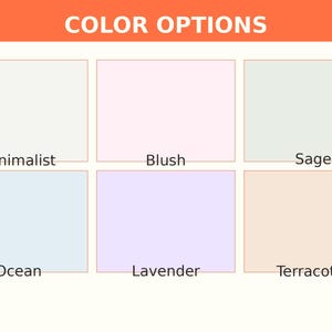May include: A color chart featuring six rectangular swatches labeled Minimalist, Blush, Sage, Ocean, Lavender, and Terracotta. The header text reads COLOR OPTIONS in white on an orange background. Each swatch displays a distinct solid color.