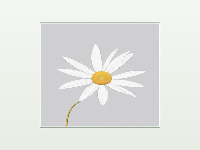 May include: A single daisy flower illustration featuring long, thin white petals radiating from a bright yellow circular center. The flower is attached to a thin, curved golden stem, all set against a solid, light gray square background.