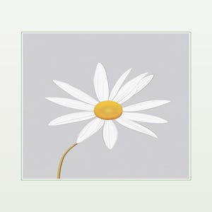 May include: A single daisy flower illustration featuring long, thin white petals radiating from a bright yellow circular center. The flower is attached to a thin, curved golden stem, all set against a solid, light gray square background.