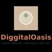 DiggitalOasis Team