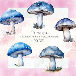 Clipart de cogumelos aquarela, clipart de primavera, clipart, fungo florestal de primavera, floresta de cogumelos, PNG