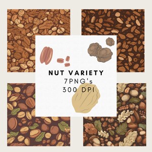 Walnut Background | Nut Variety Pattern for Crafts and Fabric | Digital Download