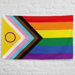 Large Intersex-Inclusive Progress Pride Flag | 34.5&quot; x 56&quot; (87.6 cm x 142.2 cm)