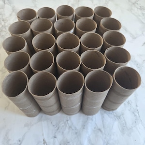 May include: A collection of empty cardboard tubes, arranged in a grid pattern. The tubes are cylindrical, with a natural brown color, and appear to be from toilet paper or paper towel rolls. The arrangement suggests a craft or organizational theme.