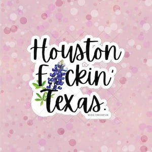 Houston, Texas, gros mots | Vinyle découpé | Sticker Intérieur Extérieur | Décoration pour MacBook ThinkPad | Bouteille d'eau | Flacon Hydra | Humour adulte