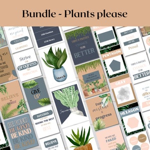 Lot de plantes bohèmes calmes pour la salle de classe | Des plantes s&#39;il vous plaît | Collection Serene Classroom | Pack | Décoration de la classe