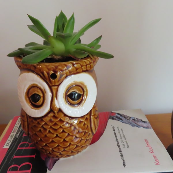 Small Vintage Owl Planter