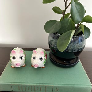 Vintage Hand Painted Pig Salt and Pepper Shakers - Made in Japan