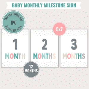 Descarga digital instantánea bebé signo de hito mensual imprimible tarjetas de 12 meses para la nueva mamá estilo Boho impresión en casa rosa azul turquesa beige