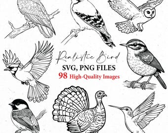 Vogel svg, Vögel png, Amerikanischer Vogel Clipart, Umriss Vögel, handgezeichnetes Doodle, realistisches Vögel svg, Vektorvogel png, svg-Dateien, svg cricut