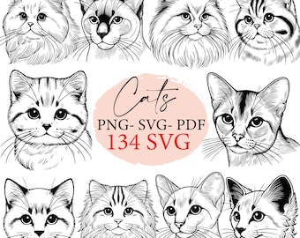 Gato, gatos, gato svg, gato png, diseño de camiseta de gato, paquete svg, archivos svg, svg cricut, imágenes prediseñadas de gato lindo, raza de gato svg, paquete de gato realista svg