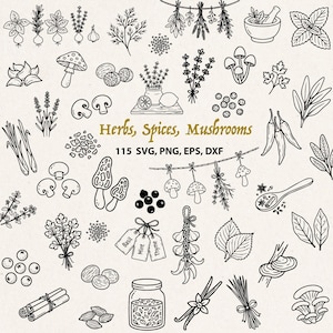 Op de afbeelding: Een verzameling zwart-wit lijntekeningen met diverse kruiden, specerijen en paddenstoelen. De tekst luidt Herbs, Spices, Mushrooms en 115 SVG, PNG, EPS, DXF. De afbeeldingen bevatten knoflook, lavendel, kaneelstokjes en glazen potten.