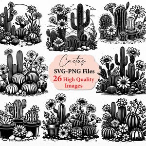 Cactus svg, cactus con flores, silueta de cactus, paquete SVG, flor SVG, svg cricut, cactus png, archivos svg lindos, cactus PNG, planta svg