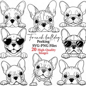 Frenchie peeking svg, französische Bulldogge peeking svg, Hunde svg, frenchies, Hundeumriss, svg bund, svg-Dateien, Hund png, spähender Hund svgbund