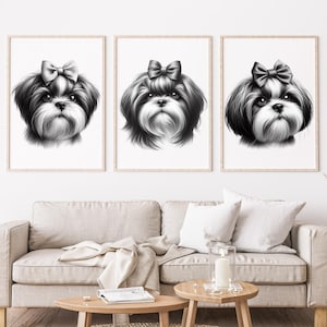 Chien PNG, chien shih tzu PNG, dessin de chien, png vintage, bundle png, chien shih tzu mignon, dessin de chien vintage, dessin au fusain, clipart chien