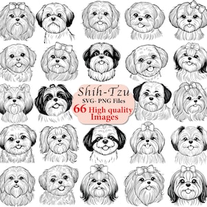 Shih tzu, Dog svg, dog outline, svg bundle, svg files, svg cricut, dog face ,dog gift, dog, Shih Tzu dog outline, dog png, dogs svg