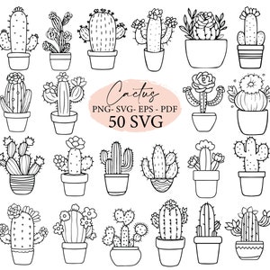 Cactus, planta de cactus, suculentas, plantas png, cactus png, paquete svg, archivos svg, svg cricut, doodle, contorno de cactus, uso comercial svg