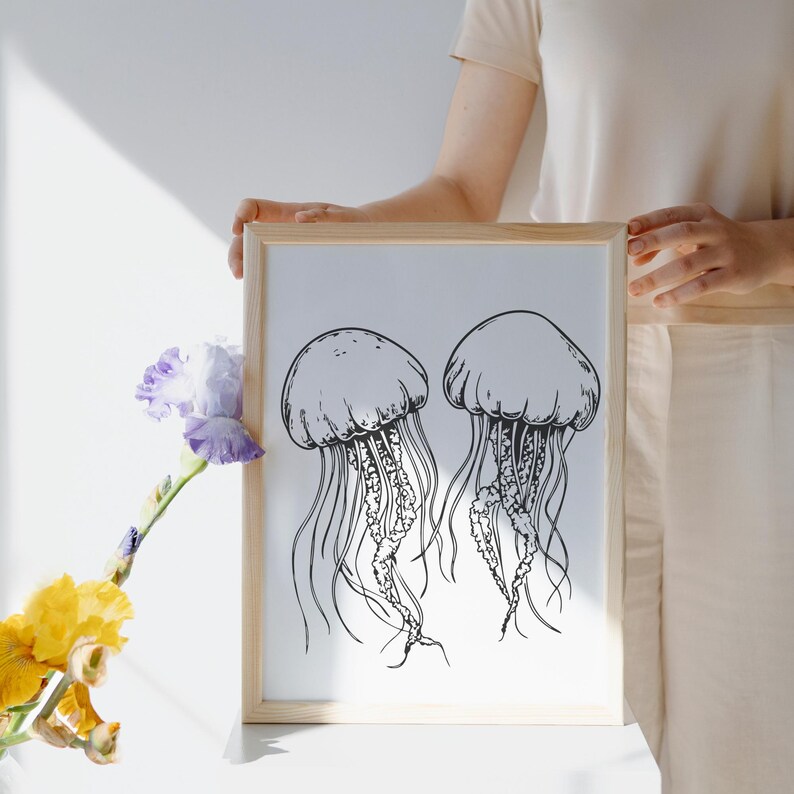 K&ouml;nnte beinhalten: Ein gerahmter Kunstdruck mit zwei Quallen-Illustrationen in Schwarz und Wei&szlig;. Die Quallen haben abgerundete Glocken und lange, flie&szlig;ende Tentakel. Der Rahmen ist aus hellem Holz.
