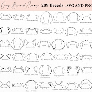 Dog breeds ears svg, dog outline, svg bundle, svg files, svg cricut, dog lover, dog svg, dog svg, dog png, doodle dog breeds, dog clipart