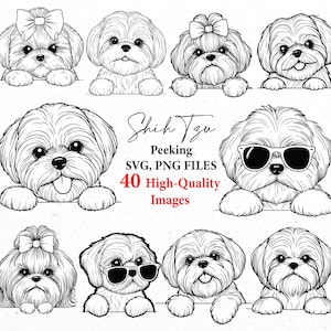 Svg Shih tzu, Shih Tzu furtivement svg, svg chien, contour de chien, lot svg, fichiers svg, cricut svg, amoureux des chiens, dessin au trait, png chien, chiens svg