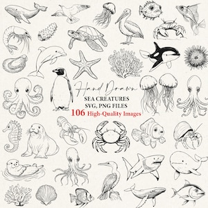 Peut inclure: Illustration en noir et blanc de créatures marines, dont des baleines, méduses et crabes. Le texte "Hand Drawn Sea Creatures" et "106 High-Quality Images" est également présent.