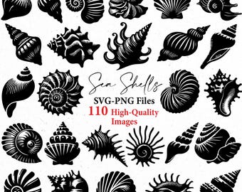 Schelpen svg, schelp svg, schelp clipart, zomer svg, Oceaan svg, zeeschelp png clipart, svg bundels, svg bundel, svg-bestanden, svg cricut