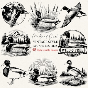 May include: A collection of vintage-style illustrations of mallard ducks in various poses. The black and white images include ducks in flight, swimming, and standing, with text that reads "Mallard Duck, Vintage Style, SVG and PNG Files, 45 High-Quality Images."