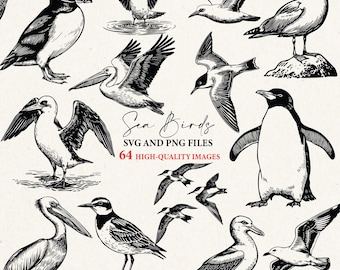 Sea Bird svg, birds png, coastal bird clipart, birds outline, handrawn birds, realistic birds svg, vector bird png, svg files, svg cricut