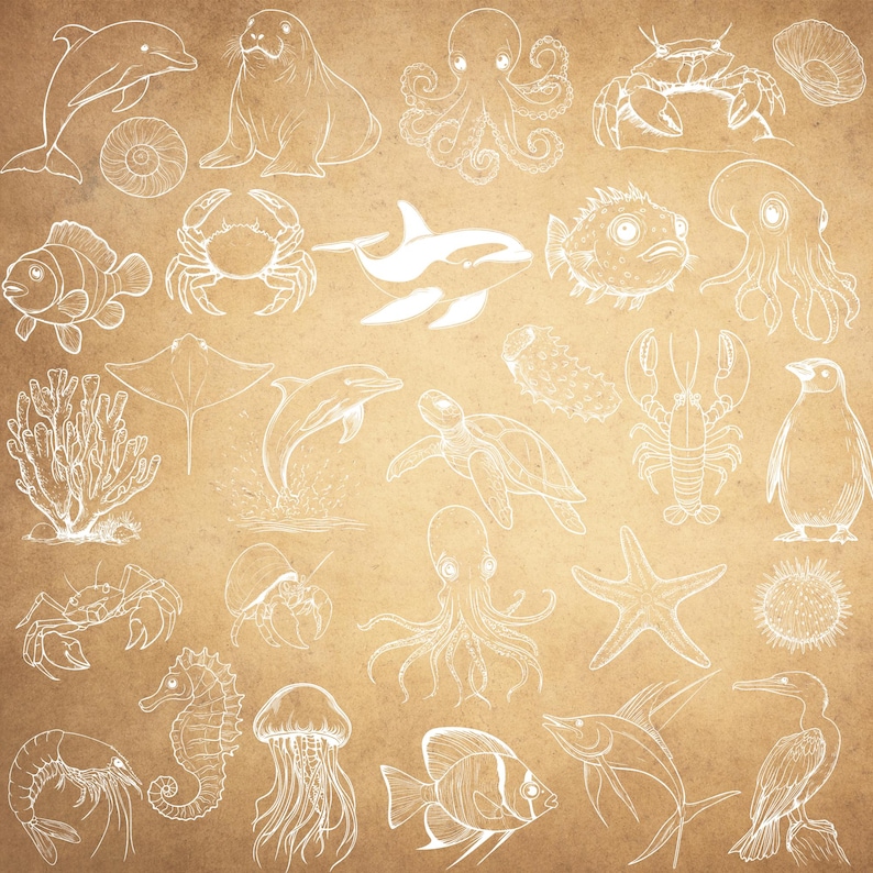 K&ouml;nnte beinhalten: Eine Sammlung wei&szlig;er Strichzeichnungen verschiedener Meeresbewohner, darunter Delfine, Tintenfische und Krebse, auf einem strukturierten braunen Hintergrund. Die detaillierten Illustrationen zeigen Meereslebewesen.