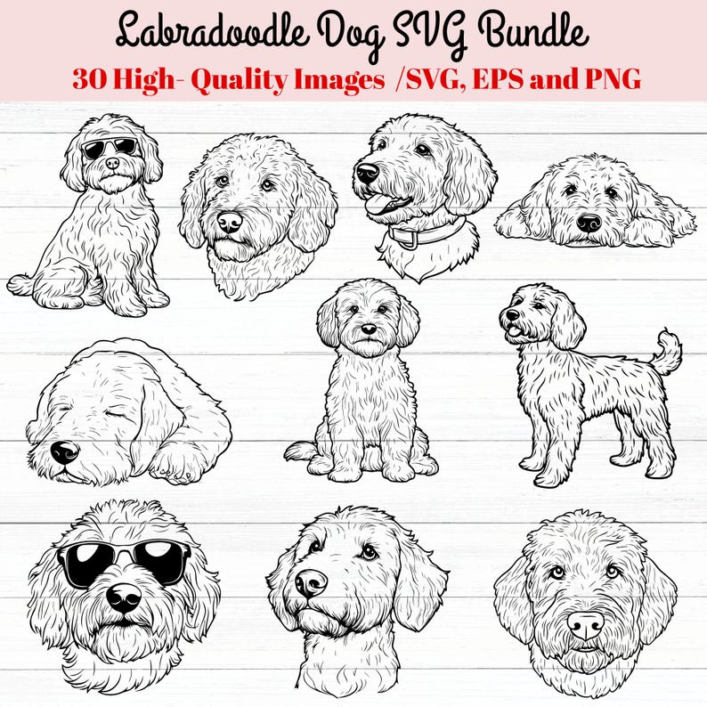 Labradoodle SVG Bundle, Goldendoodle Svg, Dog Outline SVG, Pet Lover ...