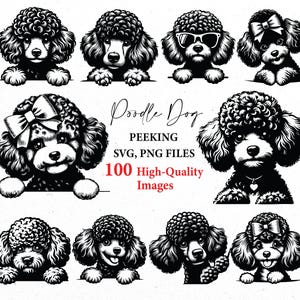 Svg furtivement de chien caniche, svg caniche, chien svg, png de race de caniche, contour de chien, lot svg, fichiers svg, chien png, lot svg chien furtivement, fichier coupé