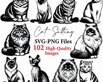 Cat svg, cat sitting svg, cat png, svg bundle, svg files, svg cricut, cute cat clipart, cat breed svg, realistic cat svg bundle, cats svg