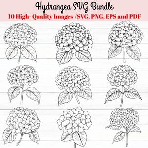May include: Black and white line art of hydrangea flowers. The image includes 10 high-quality images in SVG, PNG, EPS, and PDF formats. The text "Hydrangea SVG Bundle" is at the top.