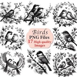 Pájaro, pájaros, pájaro PNG, pájaros americanos PNG, png vintage, clipart de pájaro, paquete png, pájaros lindos, dibujo de pájaro, amante de los pájaros, dibujo al carboncillo