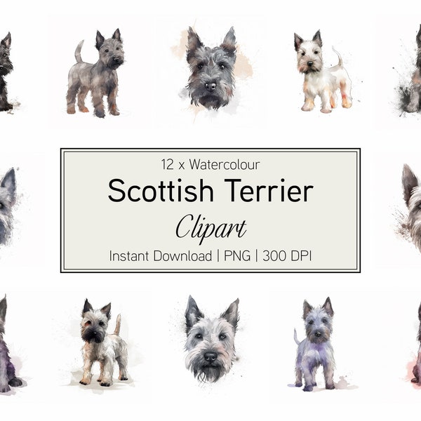 Scottish Terrier Clipart aquarelle - lot de 12 téléchargements numériques. Éléments de design. PNG 300 ppp. Téléchargement numérique.